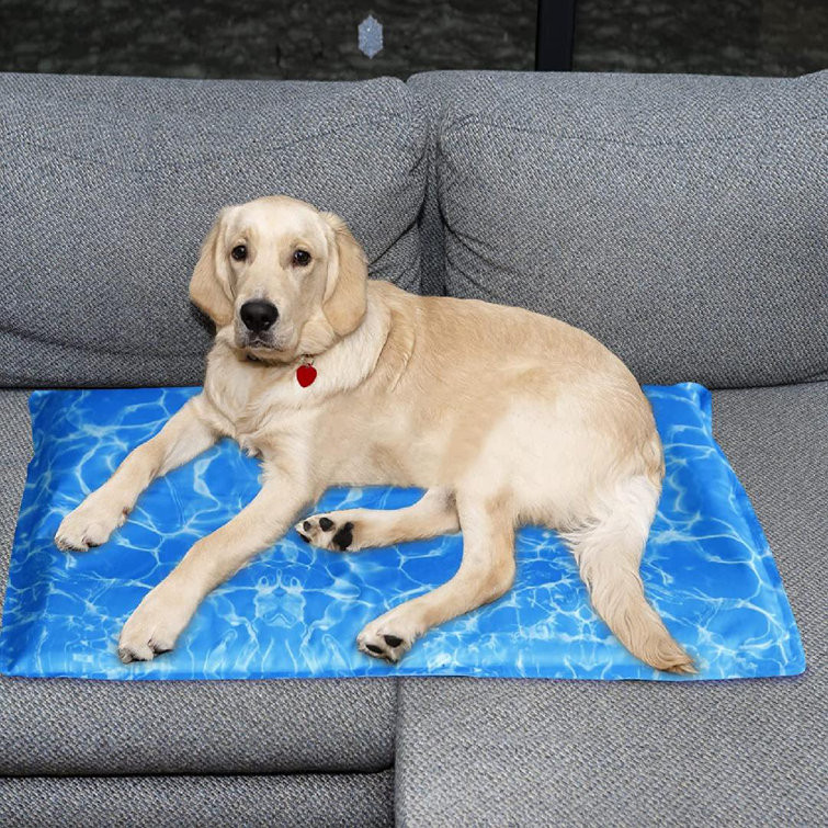 How Do You Clean The Inside Of A Dog Bed